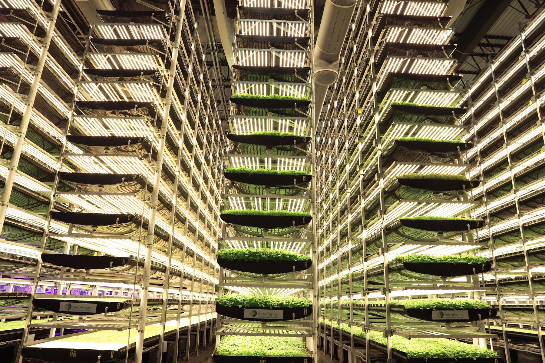 , AeroFarms