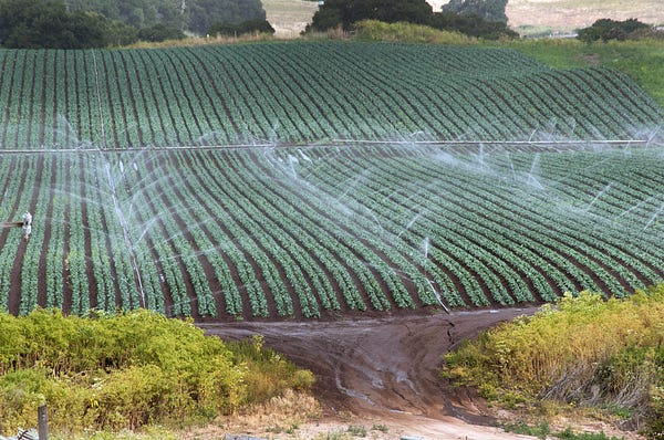 water, AeroFarms