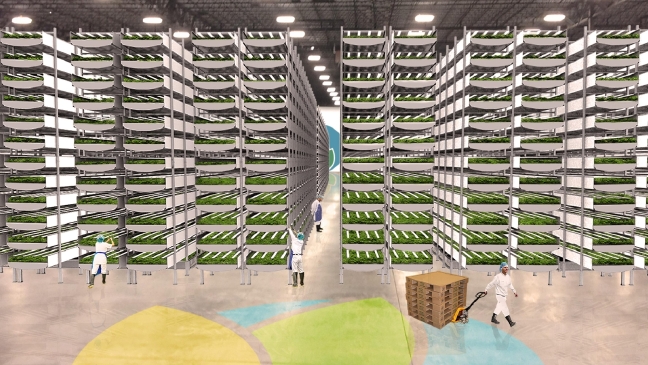 farming, AeroFarms