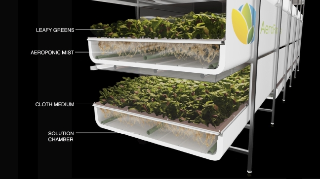 farming, AeroFarms