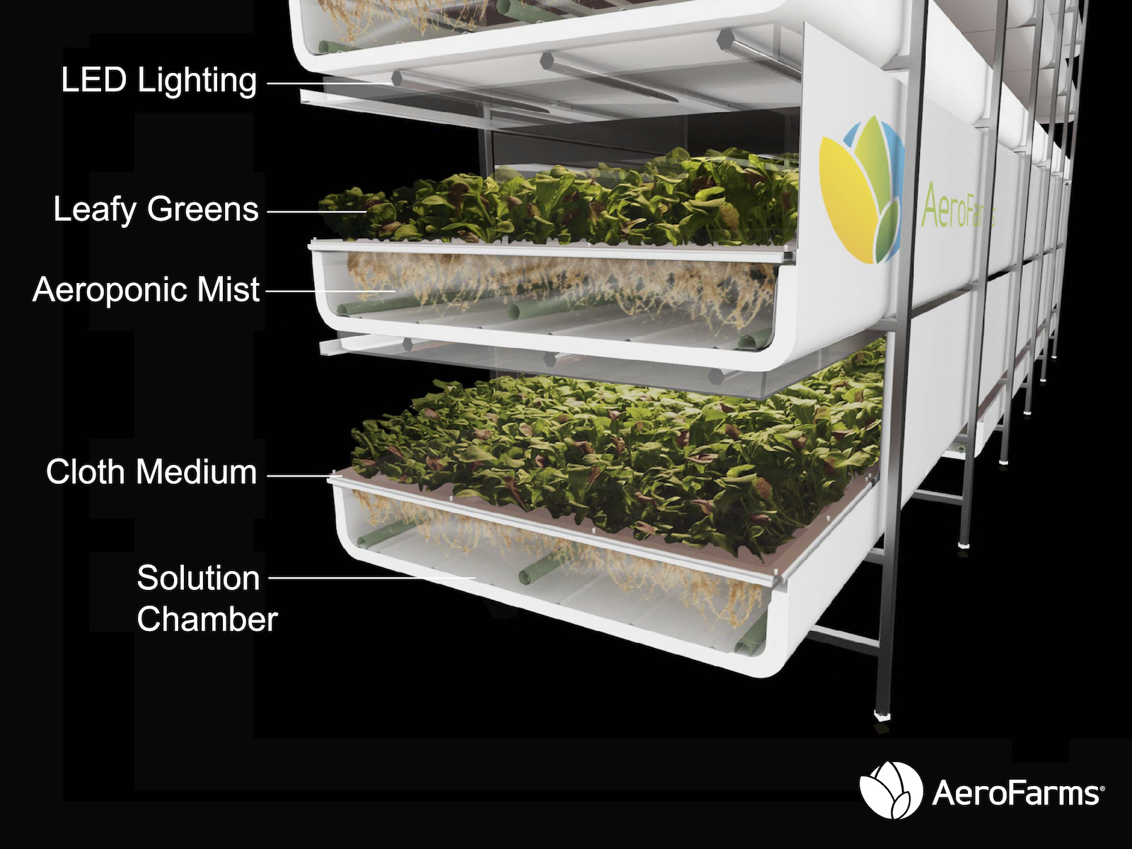 , AeroFarms