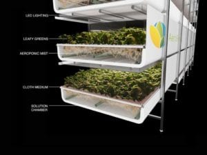 vertical farming news, AeroFarms