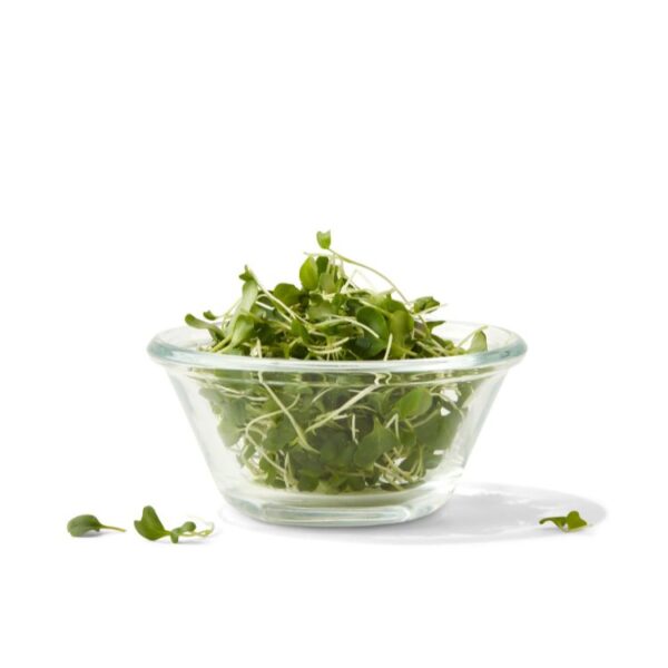 micro broccoli, AeroFarms