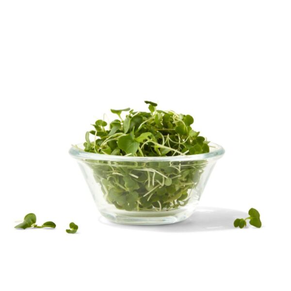 micro kale, AeroFarms