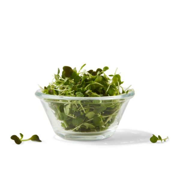 , AeroFarms