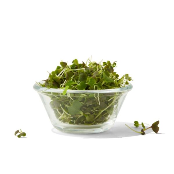 micro spicy mix, AeroFarms
