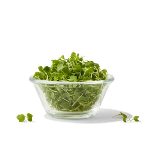 micro wasabi, AeroFarms