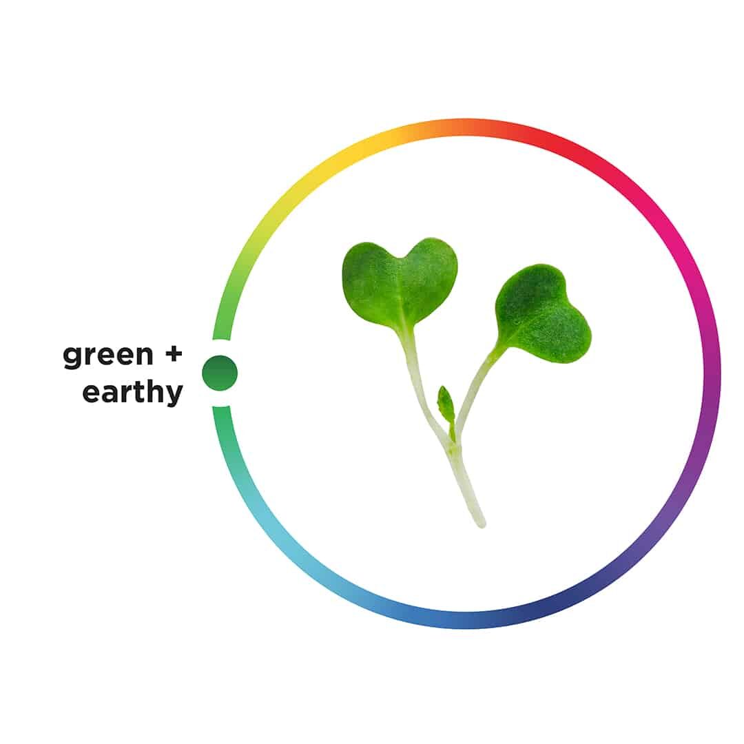 micro broccoli, AeroFarms