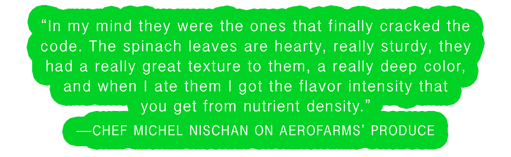 agriculture, AeroFarms
