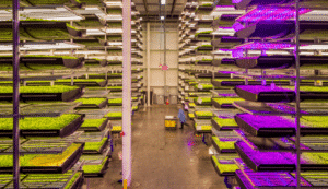 vertical farming news, AeroFarms