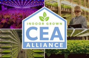 vertical farming news, AeroFarms