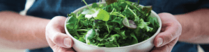 vertical farming news, AeroFarms