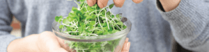 vertical farming news, AeroFarms