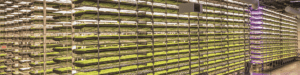 vertical farming news, AeroFarms