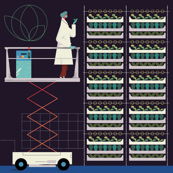innovation, AeroFarms