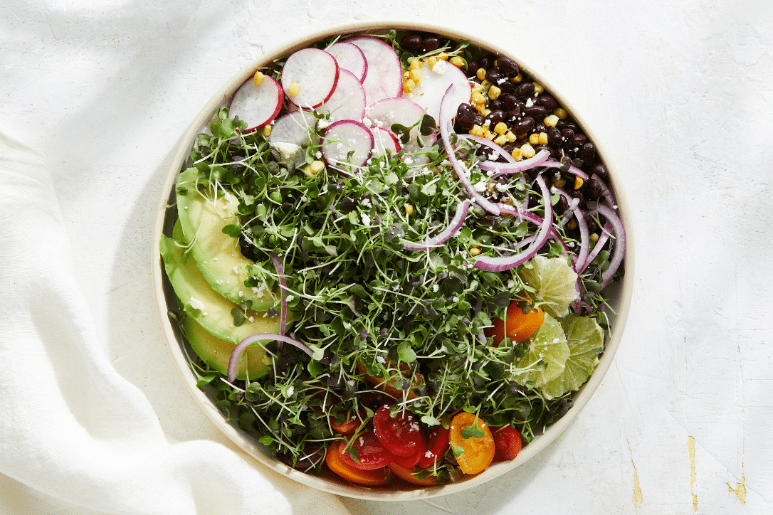 Microgreens Salad Fiesta