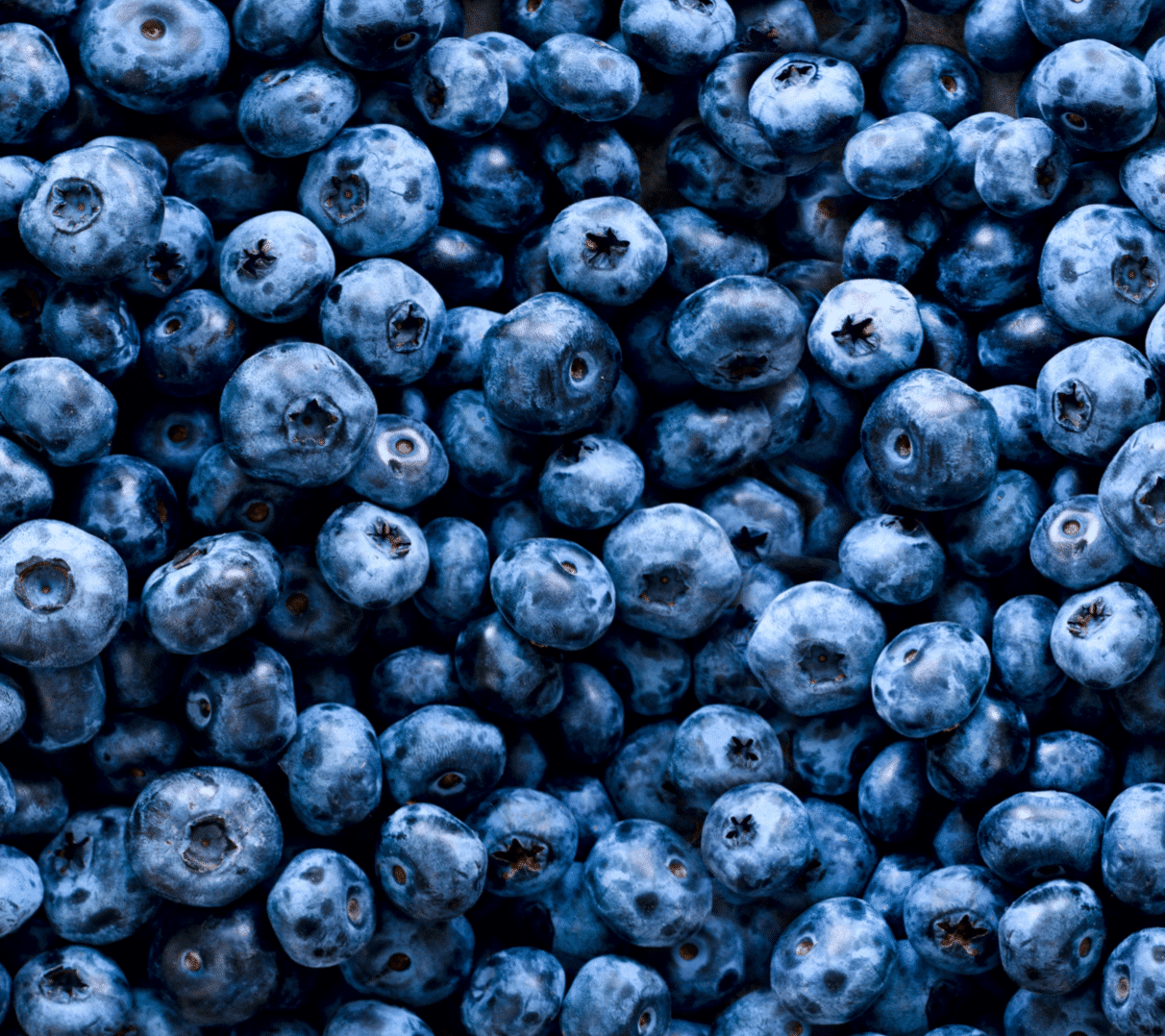 Blueberries