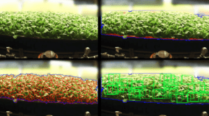 vertical farming news, AeroFarms